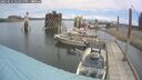 ./images/quadra/hbidock/20250614/hbidock20250614_122011M.jpg