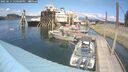 ./images/quadra/hbidock/20250614/hbidock20250614_150000M.jpg