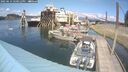 ./images/quadra/hbidock/20250614/hbidock20250614_150012M.jpg