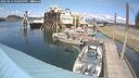 ./images/quadra/hbidock/20250614/hbidock20250614_150508M.jpg