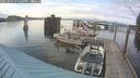 ./images/quadra/hbidock/20250614/hbidock20250614_191509M.jpg