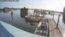 ./images/quadra/hbidock/20250615/hbidock20250615_082510M.jpg