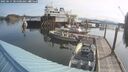 ./images/quadra/hbidock/20250615/hbidock20250615_085500M.jpg