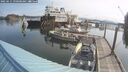 ./images/quadra/hbidock/20250615/hbidock20250615_090000M.jpg