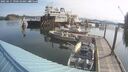 ./images/quadra/hbidock/20250615/hbidock20250615_090509M.jpg
