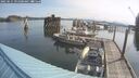 ./images/quadra/hbidock/20250615/hbidock20250615_091000M.jpg