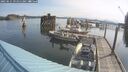 ./images/quadra/hbidock/20250615/hbidock20250615_091011M.jpg