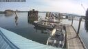 ./images/quadra/hbidock/20250615/hbidock20250615_092000M.jpg