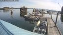 ./images/quadra/hbidock/20250615/hbidock20250615_092500M.jpg