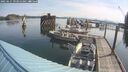 ./images/quadra/hbidock/20250615/hbidock20250615_093011M.jpg