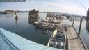 ./images/quadra/hbidock/20250615/hbidock20250615_093510M.jpg