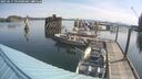 ./images/quadra/hbidock/20250615/hbidock20250615_094000M.jpg