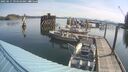 ./images/quadra/hbidock/20250615/hbidock20250615_094010M.jpg