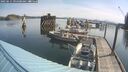 ./images/quadra/hbidock/20250615/hbidock20250615_094500M.jpg