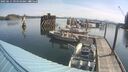 ./images/quadra/hbidock/20250615/hbidock20250615_094510M.jpg
