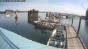 ./images/quadra/hbidock/20250615/hbidock20250615_095000M.jpg
