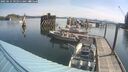 ./images/quadra/hbidock/20250615/hbidock20250615_095010M.jpg