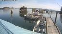 ./images/quadra/hbidock/20250615/hbidock20250615_095500M.jpg