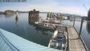 ./images/quadra/hbidock/20250615/hbidock20250615_100000M.jpg