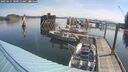 ./images/quadra/hbidock/20250615/hbidock20250615_100012M.jpg