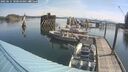 ./images/quadra/hbidock/20250615/hbidock20250615_100509M.jpg