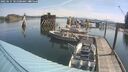 ./images/quadra/hbidock/20250615/hbidock20250615_101500M.jpg