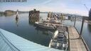 ./images/quadra/hbidock/20250615/hbidock20250615_101510M.jpg