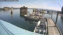 ./images/quadra/hbidock/20250615/hbidock20250615_102000M.jpg