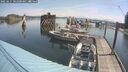 ./images/quadra/hbidock/20250615/hbidock20250615_102500M.jpg