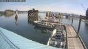 ./images/quadra/hbidock/20250615/hbidock20250615_102510M.jpg