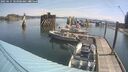 ./images/quadra/hbidock/20250615/hbidock20250615_103000M.jpg