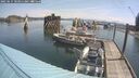 ./images/quadra/hbidock/20250615/hbidock20250615_103011M.jpg