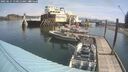 ./images/quadra/hbidock/20250615/hbidock20250615_110012M.jpg