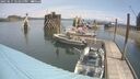 ./images/quadra/hbidock/20250615/hbidock20250615_121011M.jpg