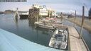 ./images/quadra/hbidock/20250615/hbidock20250615_125500M.jpg