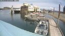 ./images/quadra/hbidock/20250615/hbidock20250615_125510M.jpg