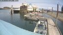 ./images/quadra/hbidock/20250615/hbidock20250615_130012M.jpg
