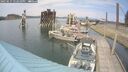 ./images/quadra/hbidock/20250615/hbidock20250615_152010M.jpg