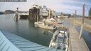 ./images/quadra/hbidock/20250615/hbidock20250615_164511M.jpg