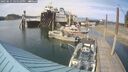 ./images/quadra/hbidock/20250615/hbidock20250615_165010M.jpg
