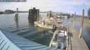 ./images/quadra/hbidock/20250615/hbidock20250615_174510M.jpg