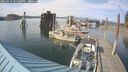 ./images/quadra/hbidock/20250615/hbidock20250615_175000M.jpg