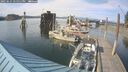 ./images/quadra/hbidock/20250615/hbidock20250615_175011M.jpg