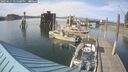 ./images/quadra/hbidock/20250615/hbidock20250615_175500M.jpg