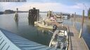 ./images/quadra/hbidock/20250615/hbidock20250615_180000M.jpg