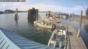 ./images/quadra/hbidock/20250615/hbidock20250615_181010M.jpg