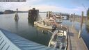 ./images/quadra/hbidock/20250615/hbidock20250615_181509M.jpg