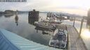 ./images/quadra/hbidock/20250616/hbidock20250616_070510M.jpg