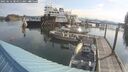 ./images/quadra/hbidock/20250616/hbidock20250616_084511M.jpg