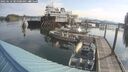 ./images/quadra/hbidock/20250616/hbidock20250616_085000M.jpg